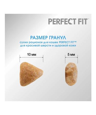 PERFECT FIT Dry food for cats with turkey 650g - Buy Online on GoSupps.com