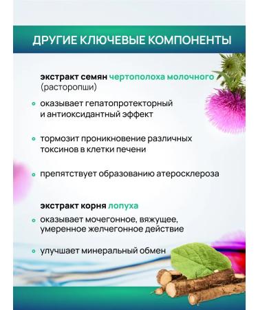 Crane pine and sun Artichop and Prohopsha dietary supplement for liver and intestines set 2 pcs - Buy Online on GoSupps.com