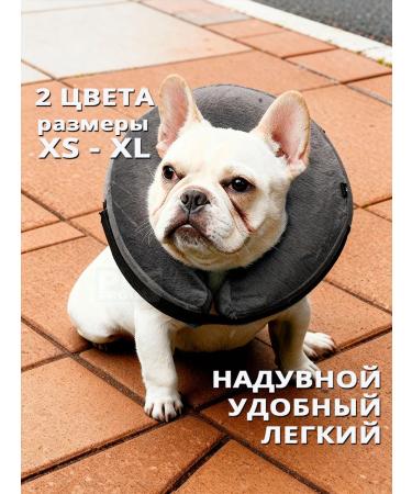 Pet protect Collar for cats and dogs