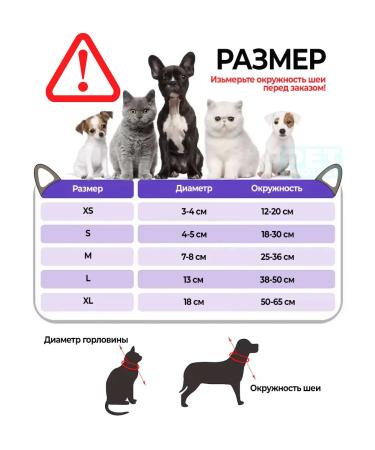 Pet protect Collar for cats and dogs - Buy Online on GoSupps.com