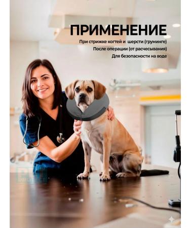 Pet protect Collar for cats and dogs - Buy Online on GoSupps.com