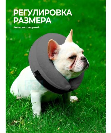 Pet protect Collar for cats and dogs - Buy Online on GoSupps.com