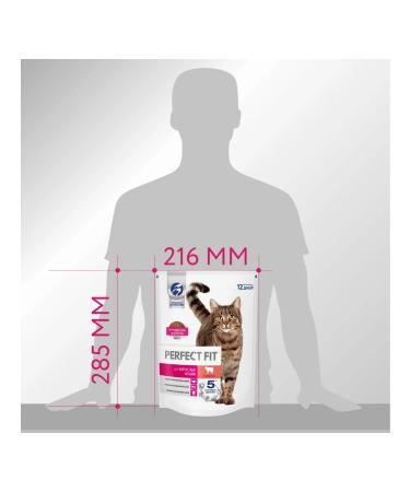 PERFECT FIT Dry food for cats with beef 650g - Buy Online on GoSupps.com