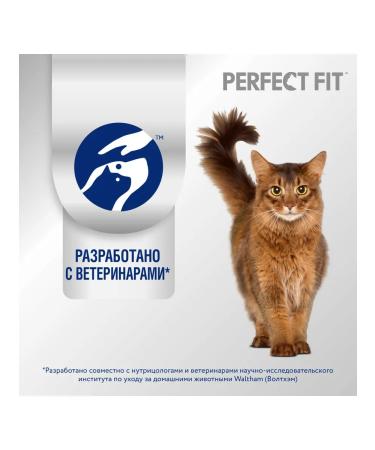 PERFECT FIT Dry food for cats with beef 650g - Buy Online on GoSupps.com