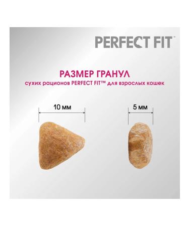 PERFECT FIT Dry food for cats with beef 650g - Buy Online on GoSupps.com