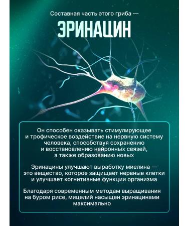 WEI ORGANIC Ezhovik crested in capsules of mycelium nootrop - Buy Online on GoSupps.com