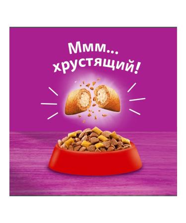 WHISKAS Feed for sterilized cats with beef 1.3kg - Buy Online on GoSupps.com