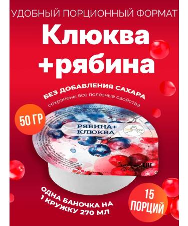 DanTea Portion tea without sugar 15 pcs 50 grams rowan with cranberry