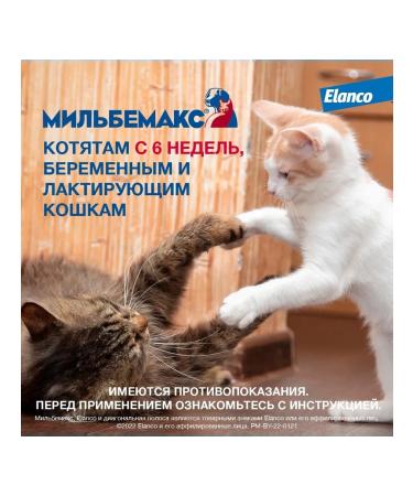 Elanco Tablets from worms for kittens 2 pcs - Buy Online on GoSupps.com