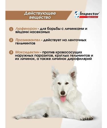 inspector Dog tablets from worms and ticks 4 pcs - Buy Online on GoSupps.com