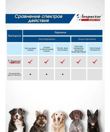 inspector Dog tablets from worms and ticks 4 pcs - Buy Online on GoSupps.com