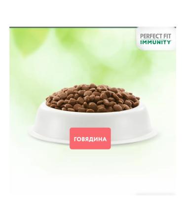PERFECT FIT Dry Immunity food for cats with beef 580g - Buy Online on GoSupps.com
