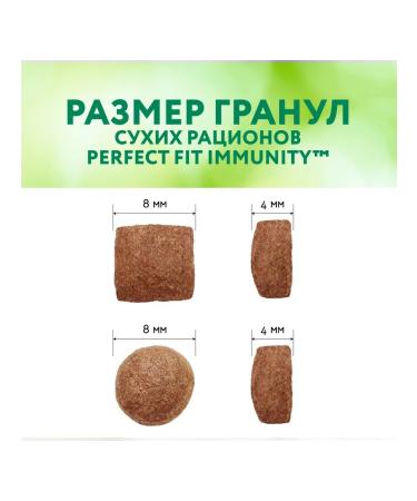 PERFECT FIT Dry Immunity food for cats with beef 580g - Buy Online on GoSupps.com