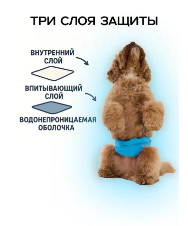 LUNAART Reusable dog harness - Buy Online on GoSupps.com