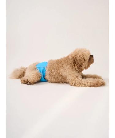 LUNAART Reusable dog harness - Buy Online on GoSupps.com