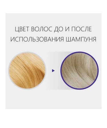 Elabore Anti Yellow Shampoo yellowness against yellowness - Buy Online on GoSupps.com