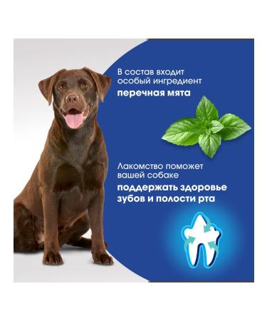 PERFECT FIT The treat for dogs Oral Care with beef and mint 130g - Buy Online on GoSupps.com
