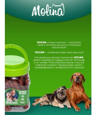 Molina A treat for dogs of all breeds of sticks duck 400 g - Buy Online on GoSupps.com