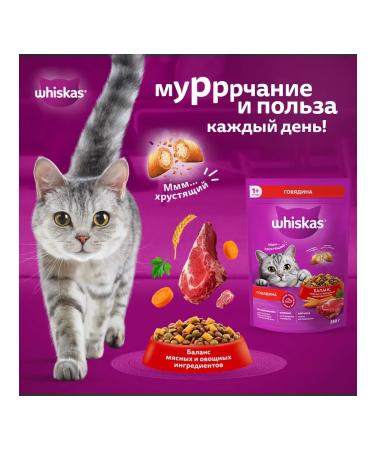 WHISKAS Dry food for cats with beef 1.3 kg - Buy Online on GoSupps.com