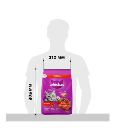 WHISKAS Dry food for cats with beef 1.3 kg - Buy Online on GoSupps.com