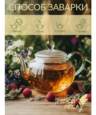 FOREST FAIRY Herbal tea July field and forest herbs - Buy Online on GoSupps.com