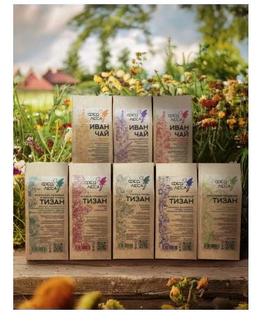 FOREST FAIRY Herbal tea July field and forest herbs - Buy Online on GoSupps.com