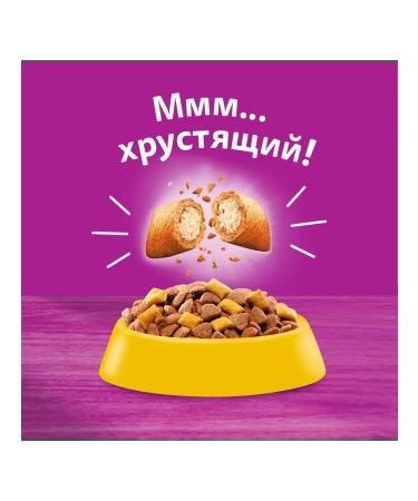 WHISKAS Dry food for sterilized cats with chicken 800g - Buy Online on GoSupps.com