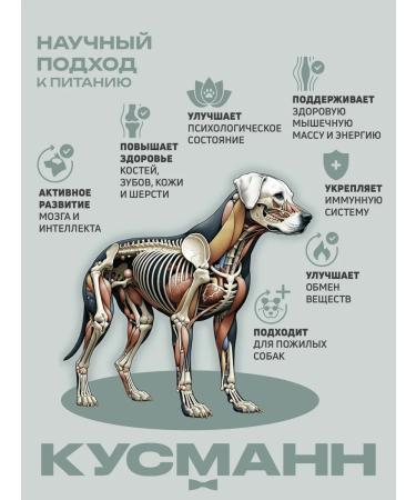 KUSMANN Dry food for puppies with fish monobogol hypoallergenic 5 kg - Buy Online on GoSupps.com