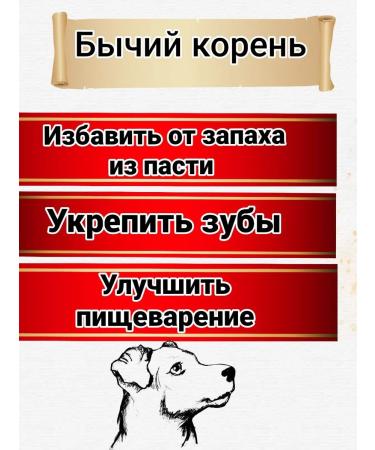 Bullroot Dog Treats - Buy Online on GoSupps.com