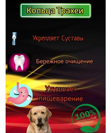  A treat for dogs. The trachea of beef - Buy Online on GoSupps.com