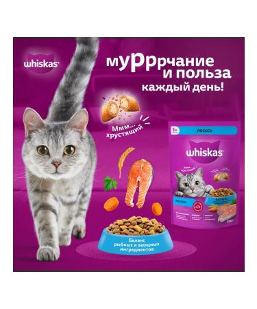 WHISKAS Dry food for cats with salmon 1.3kg - Buy Online on GoSupps.com