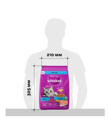WHISKAS Dry food for cats with salmon 1.3kg - Buy Online on GoSupps.com
