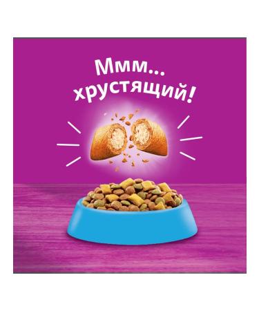 WHISKAS Dry food for cats with salmon 1.3kg - Buy Online on GoSupps.com