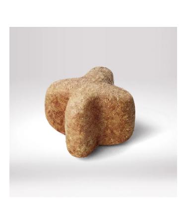 PERFECT FIT The treat for Oral Care cats with chicken and mint 50g - Buy Online on GoSupps.com