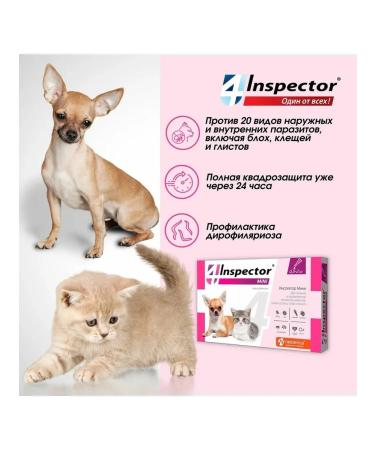 inspector Drops from Mini Blocks Mini 0.5-2 kg - Buy Online on GoSupps.com