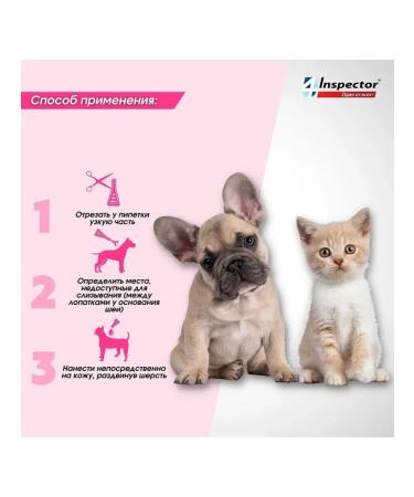 inspector Drops from Mini Blocks Mini 0.5-2 kg - Buy Online on GoSupps.com