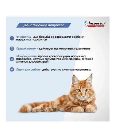 inspector Drops from the ticks of the KUADRO BLOCH BLOCHS to 4 kg - Buy Online on GoSupps.com