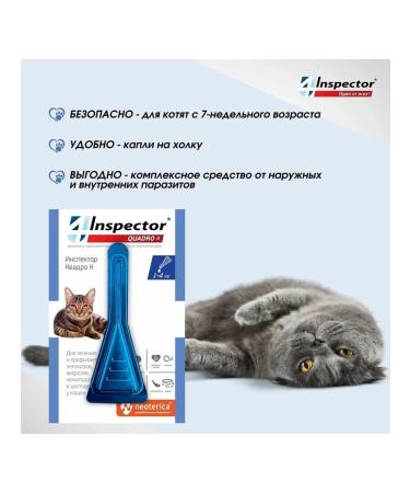 inspector Drops from the ticks of the KUADRO BLOCH BLOCHS to 4 kg - Buy Online on GoSupps.com