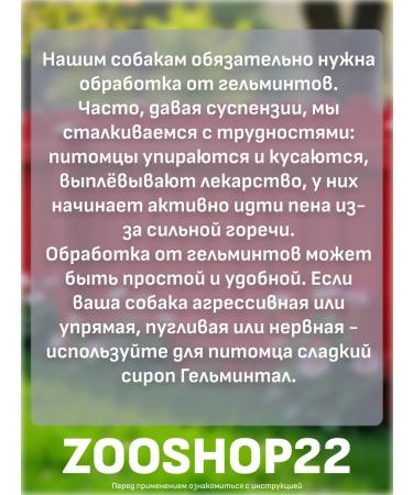 Neoterica Helmintal syrup from worms for cats from 4 kg 5 ml - Buy Online on GoSupps.com