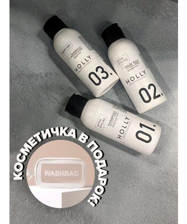 Holly Professional AFTER STYLING + EVERY DAY Hair Care - Buy Online on GoSupps.com