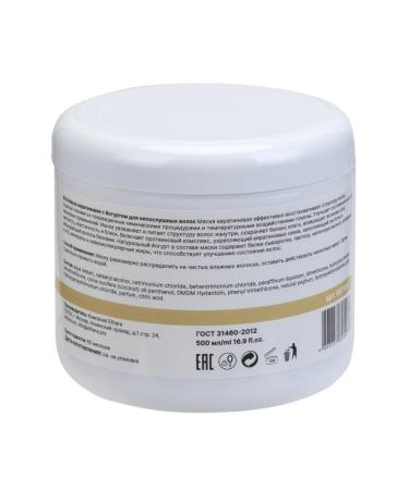 ETHERA Professional mask for naughty hair - Buy Online on GoSupps.com