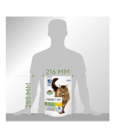 PERFECT FIT Dry food for the elderly sterile. cats with chicken 650g - Buy Online on GoSupps.com