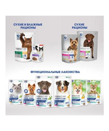PERFECT FIT A treat for miniature dogs Oral Care with beef 90g - Buy Online on GoSupps.com