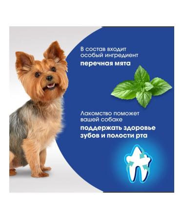 PERFECT FIT A treat for miniature dogs Oral Care with beef 90g - Buy Online on GoSupps.com