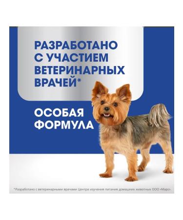 PERFECT FIT A treat for miniature dogs Oral Care with beef 90g - Buy Online on GoSupps.com