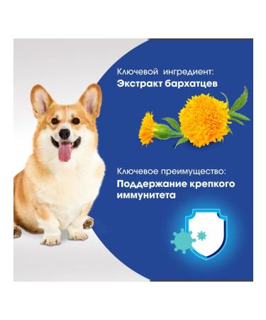 PERFECT FIT Immunity delicacy for dogs with beef 90g - Buy Online on GoSupps.com