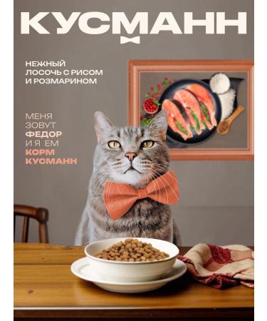 KUSMANN Feeding with salmon and rice for cats monocoles holistic 4.8 kg - Buy Online on GoSupps.com