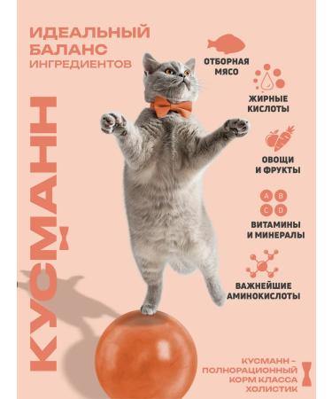 KUSMANN Feeding with salmon and rice for cats monocoles holistic 4.8 kg - Buy Online on GoSupps.com