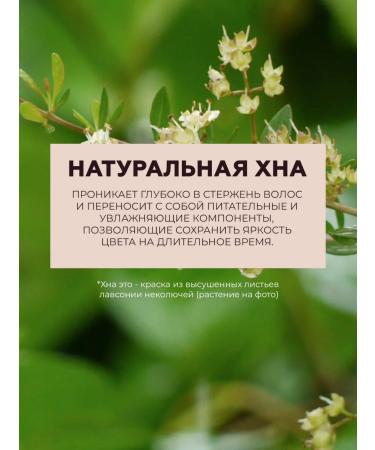 Bosnic Hair color cream light brown without ammonia - Buy Online on GoSupps.com