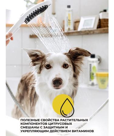 iv san bernard Grapefruit shampoo for medium length 1 liter - Buy Online on GoSupps.com